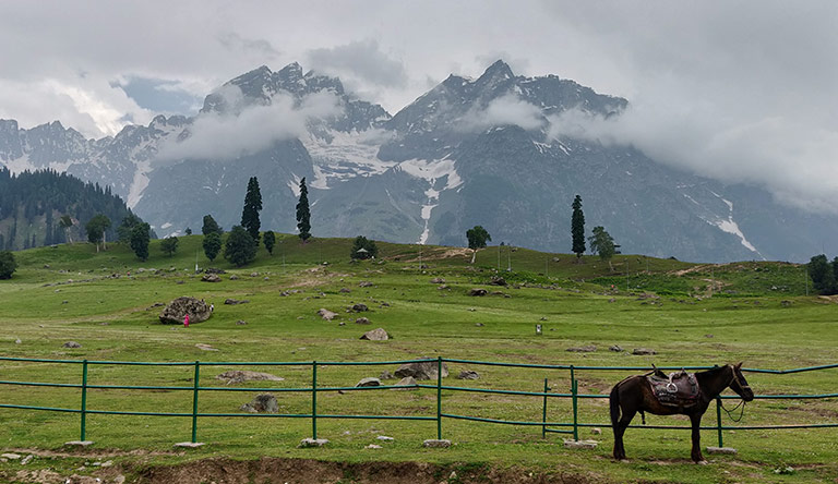 sonmarg-srinagar-kashmir-india