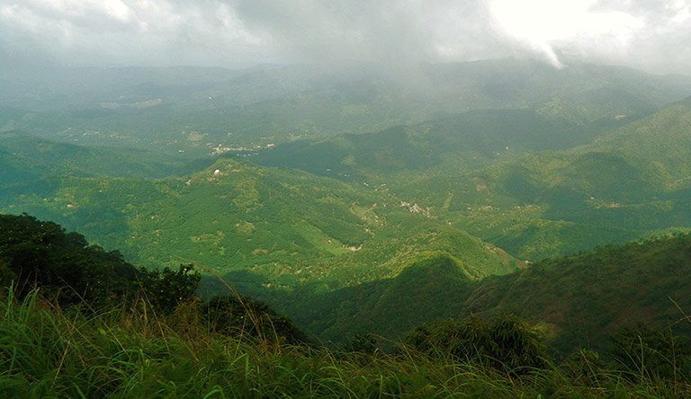 cardamom-hills-thekkady-kerala-india