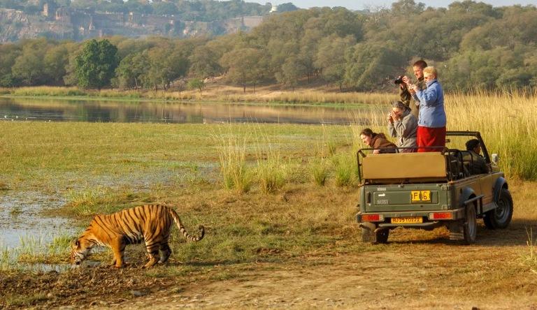 Ranthambore